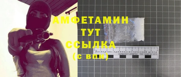 гашик Алексеевка