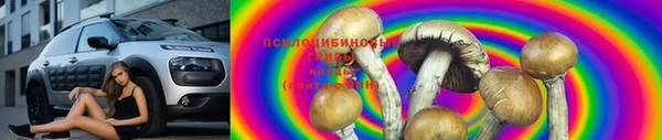 гашик Алексеевка