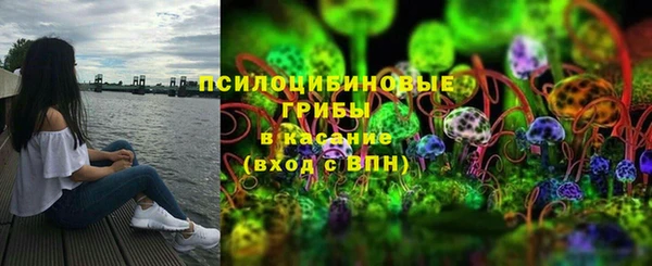 гашик Алексеевка